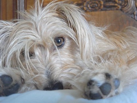 RIMG50536 - Copie - Copie