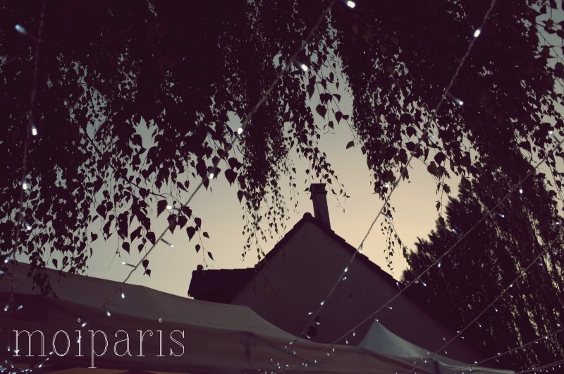 R0009907 - コピー - コピー