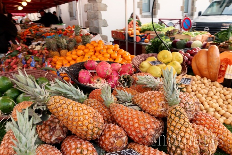 IMG_2014 - コピー