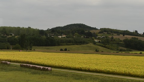 風景・穀倉地帯
