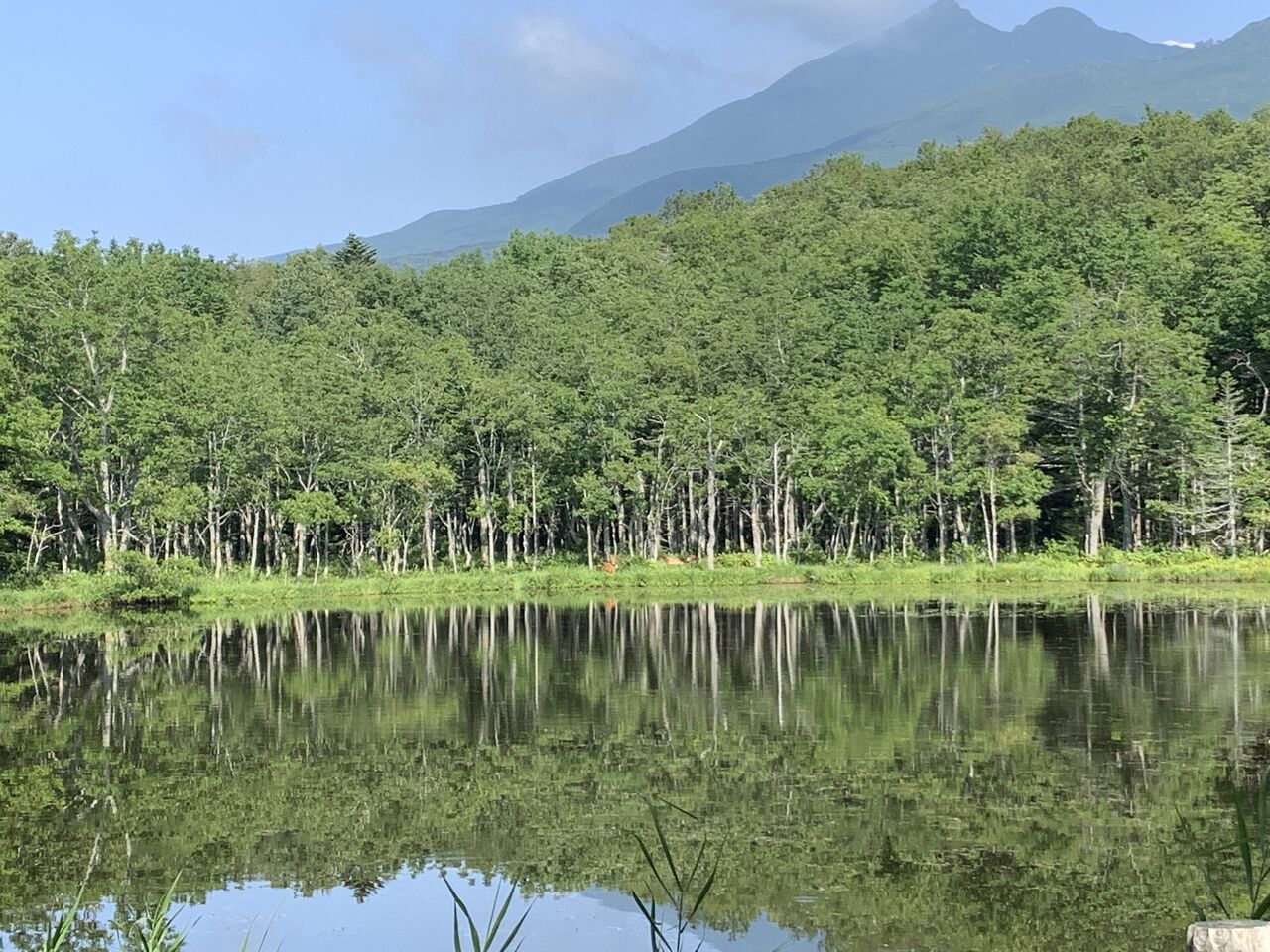 夏の北海道旅行 ３日目 世界自然遺産 知床へ 個人旅行大好き 村山さんちの家族旅行記