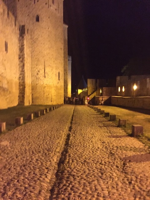 ライトアップのコンタル城１