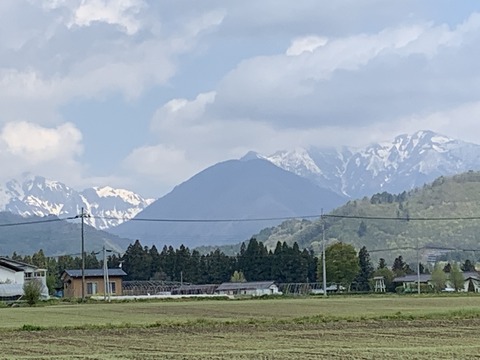 IMG_0364