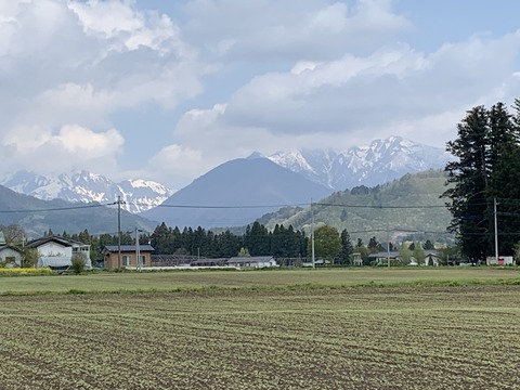 IMG_0365