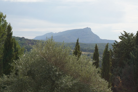 DSC01011