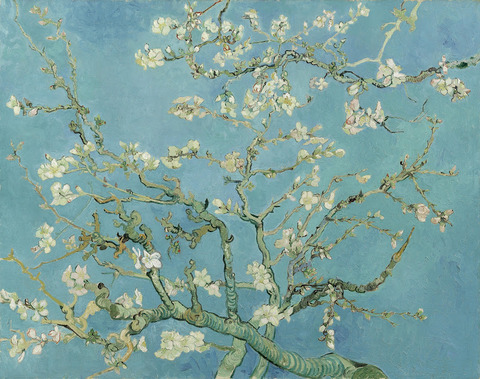 花咲くアーモンドの木の枝vangoghmuseum-s0176V1962-800