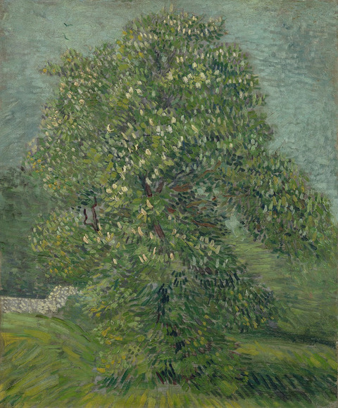 花開いたくりの木vangoghmuseum-s0126V1962-800