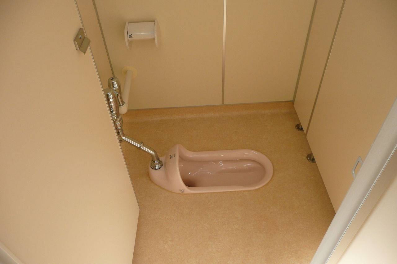 トイレ 和式と洋式のどっちが健康に良いか Milkkumaのblog