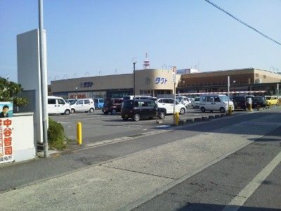 NEC_0874