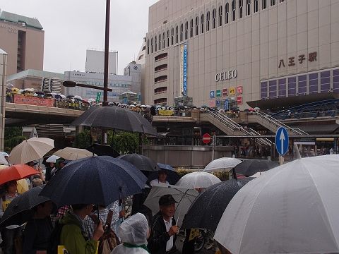 P8303691-s