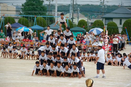 yasu13