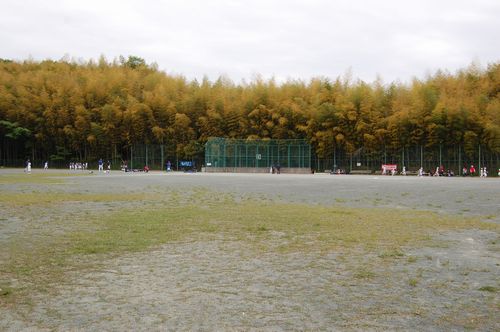 kaminokura1