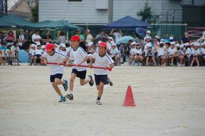 taifuume