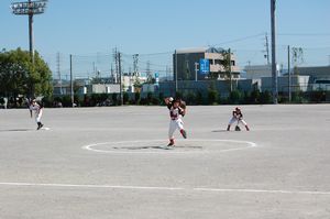 773784d0.jpg