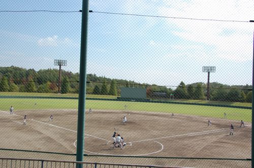 sakasita1