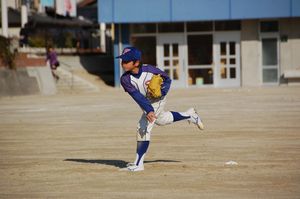 taisei