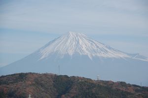 fuzi