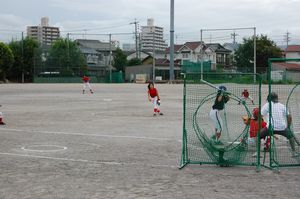 d5378370.jpg