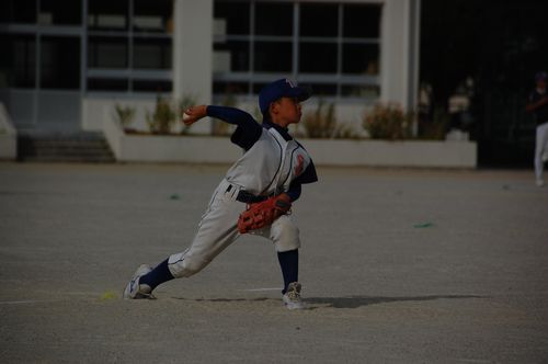 bcj6