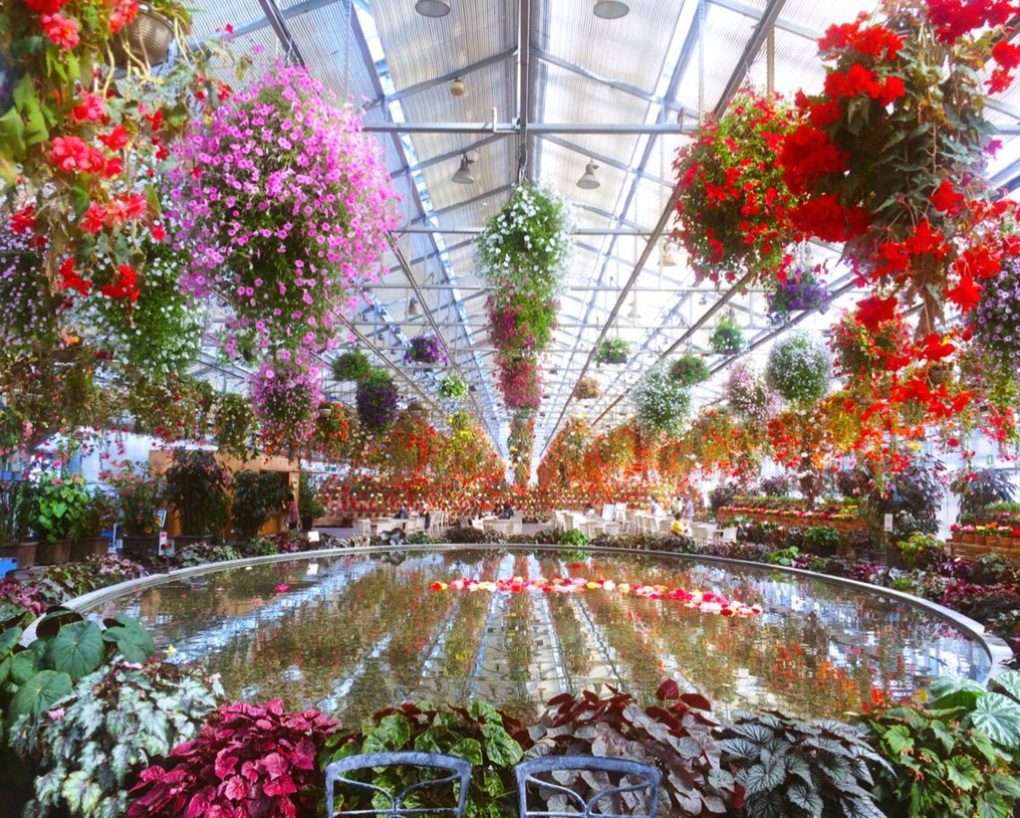 なばなの里 ベゴニアガーデン 河童のゆらり