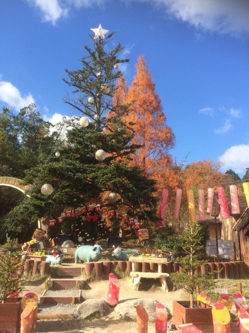 モクモク 手づくり ファーム