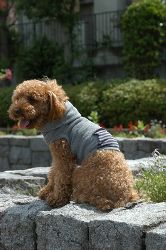 型紙の無料ダウンロードにフードとポケットを追加しました！！