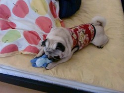 作ったよ！！メールのご紹介！