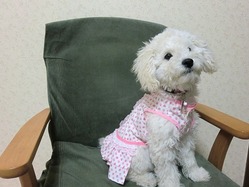作ったよ!!メール2つ続けてご紹介!!
