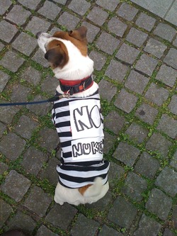 写真 2011-04-16 16 52 23