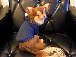 リボンモチーフがかわいいパーカー