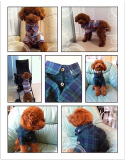 チェックのシャツ！！