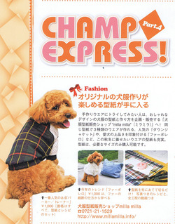 作ったよ！！メールキャンペーン！！
