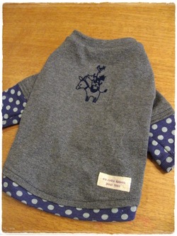 作ったよ！！メールのご紹介！！