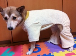 iphone_20120210180226