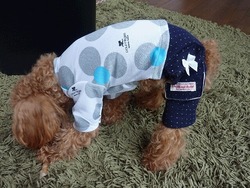 こんなつなぎが欲しかった!