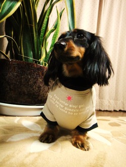 作ったよ！！メールご紹介！！リメイクです。