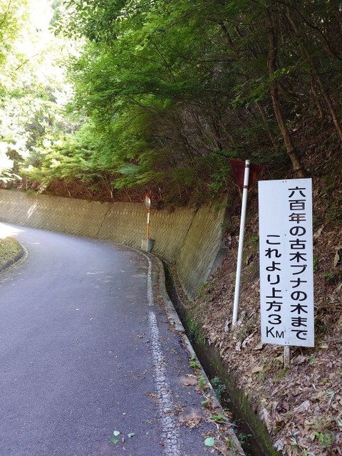 24-07-07-2