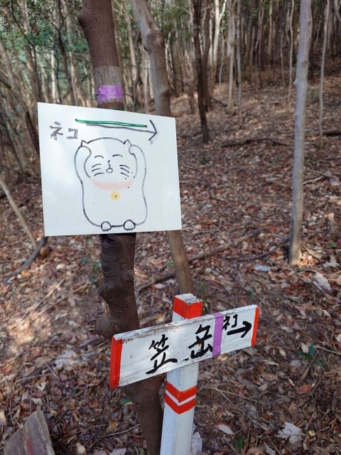23-12-25ネコ2