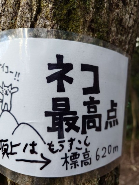 23-12-25ネコ3