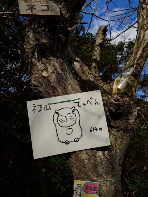 23-12-25ネコ4