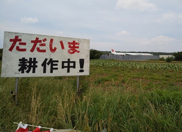 畑2