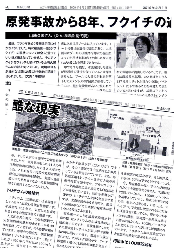 255号4-5面