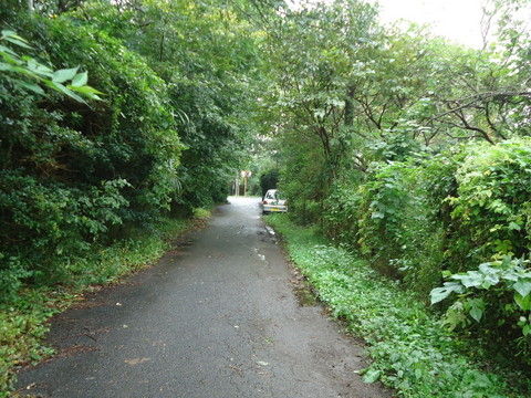 04-04-DSC08857