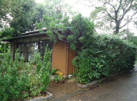 01-01-DSC08845