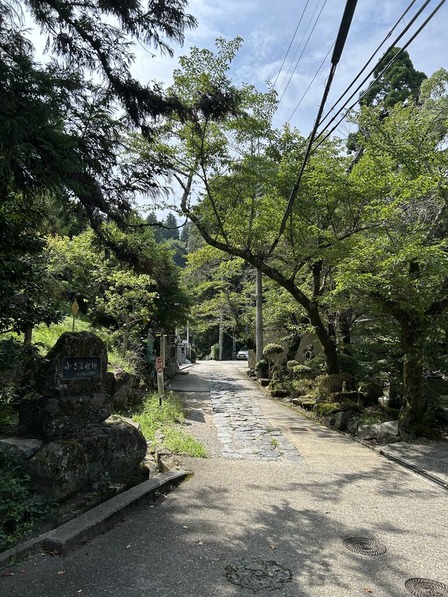 ̿ 2025-08-13 14 29 02