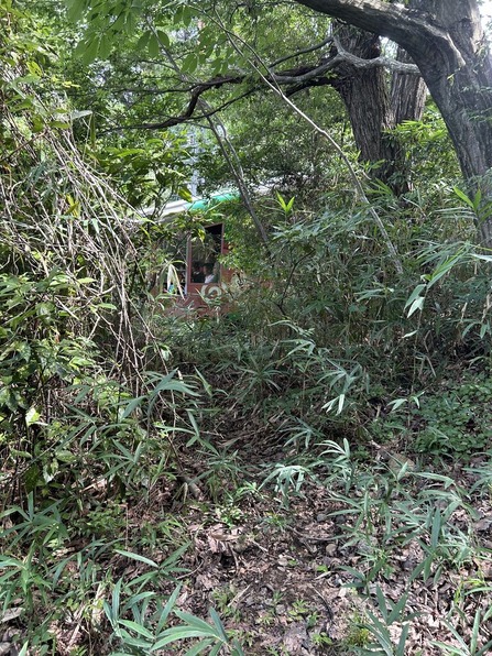 ̿ 2025-08-13 14 31 40