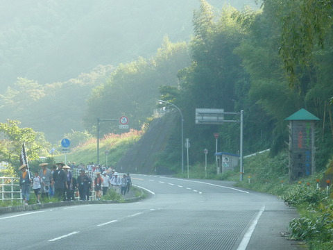 P1590209