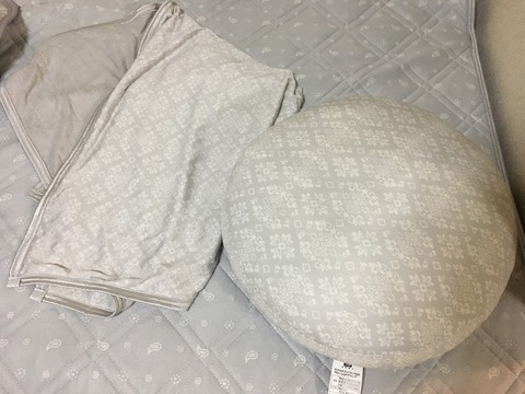 ニトリ ひんやりもちもちクッション おひとりさま 高齢シンママの徒然