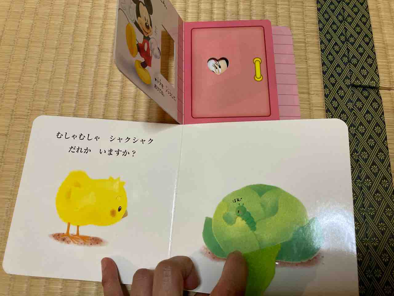 おすすめの仕掛け絵本 年齢別 : おひとりさま→高齢シンママの徒然