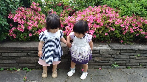 31おともだち